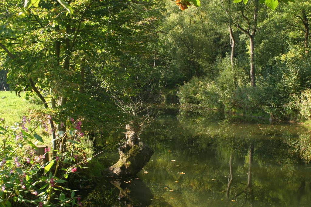 Turisticka Ubytovna Cakle Ústí nad Orlicí Exterior foto